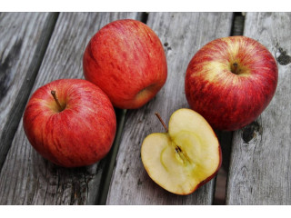 Ut suscipit augue eget tincidunt